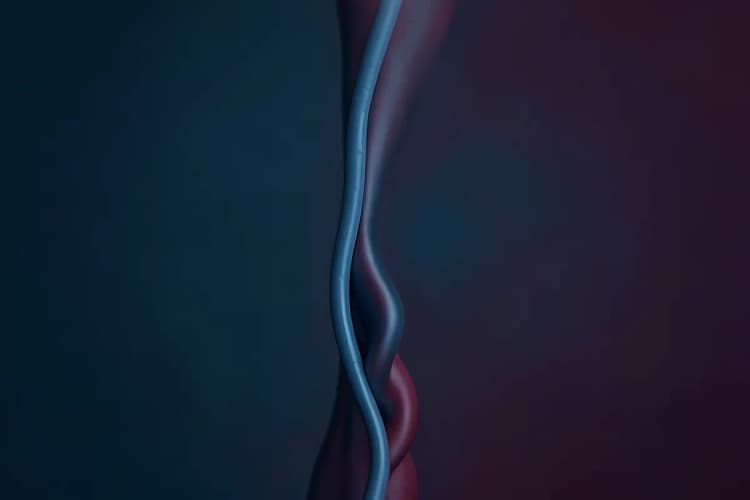 Vaso sanguíneo com veias doentes e veias saudáveis em corte transversal, em close-up, com iluminação de estúdio.