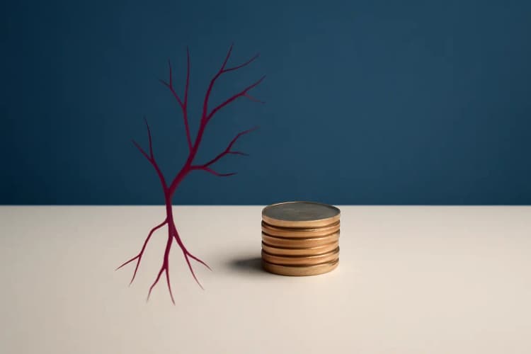 representação de custo ou investimento em tratamento de vasinhos